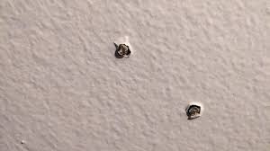 Read Thread Pops Why Drywall Screw Pops are the Most Dangerous? | 3Way Drywall Corner